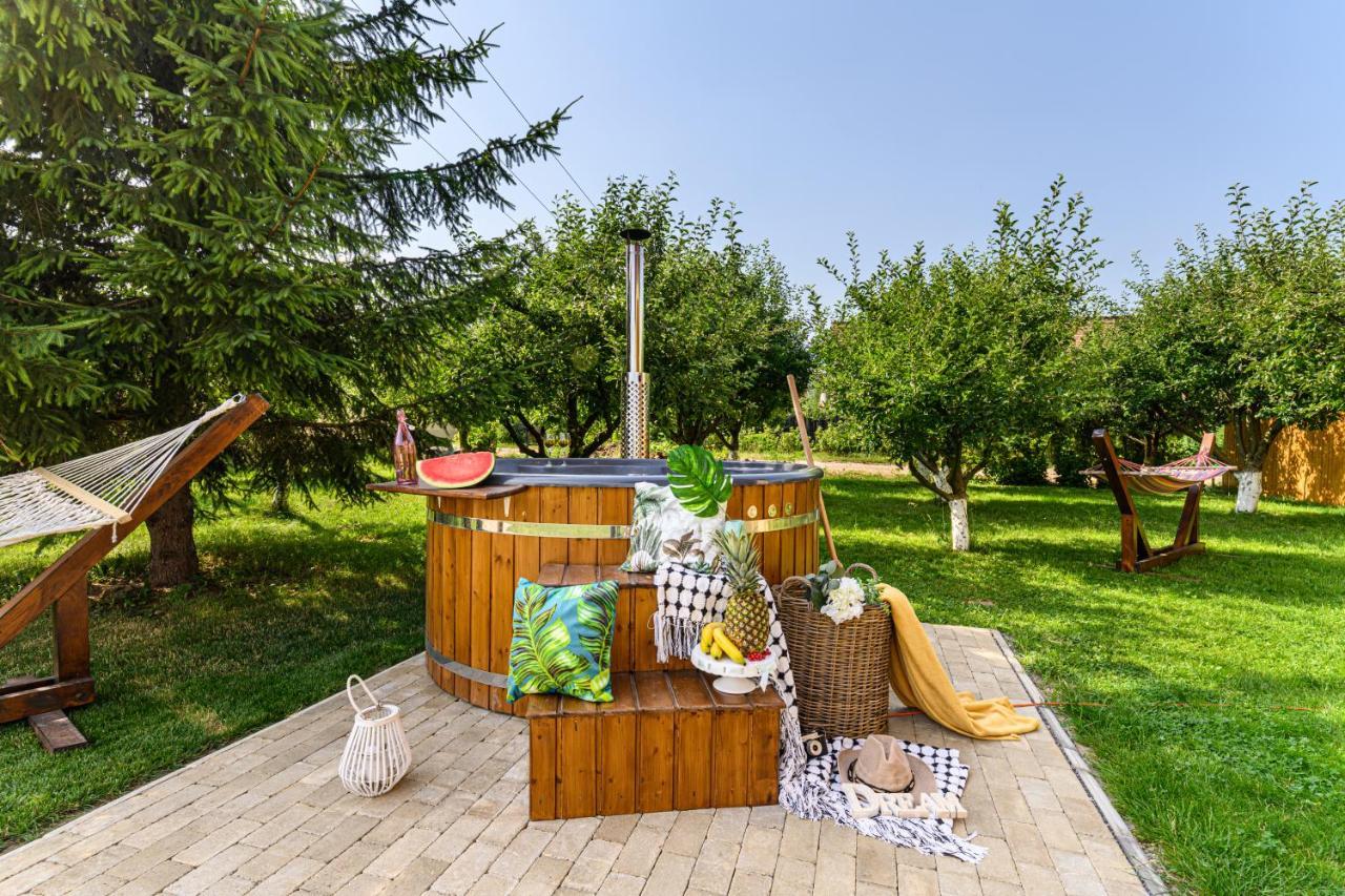 Orchard Villa 브라쇼브 외부 사진